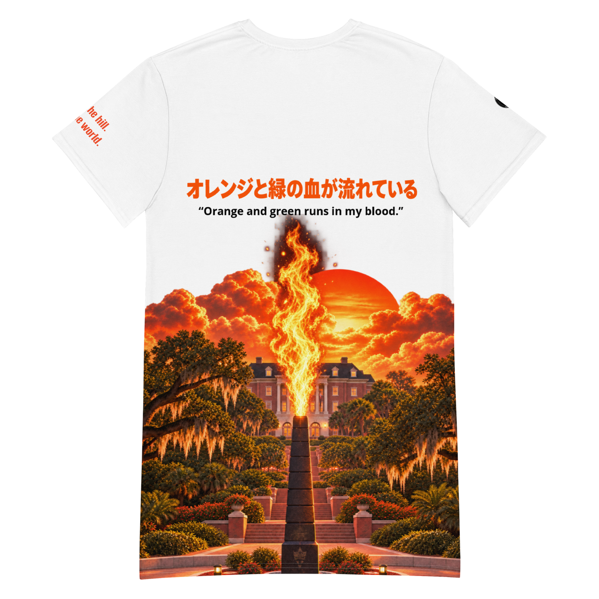 Romaji — Born on the Hill. Made for the World. Oversized T-Shirt Dress