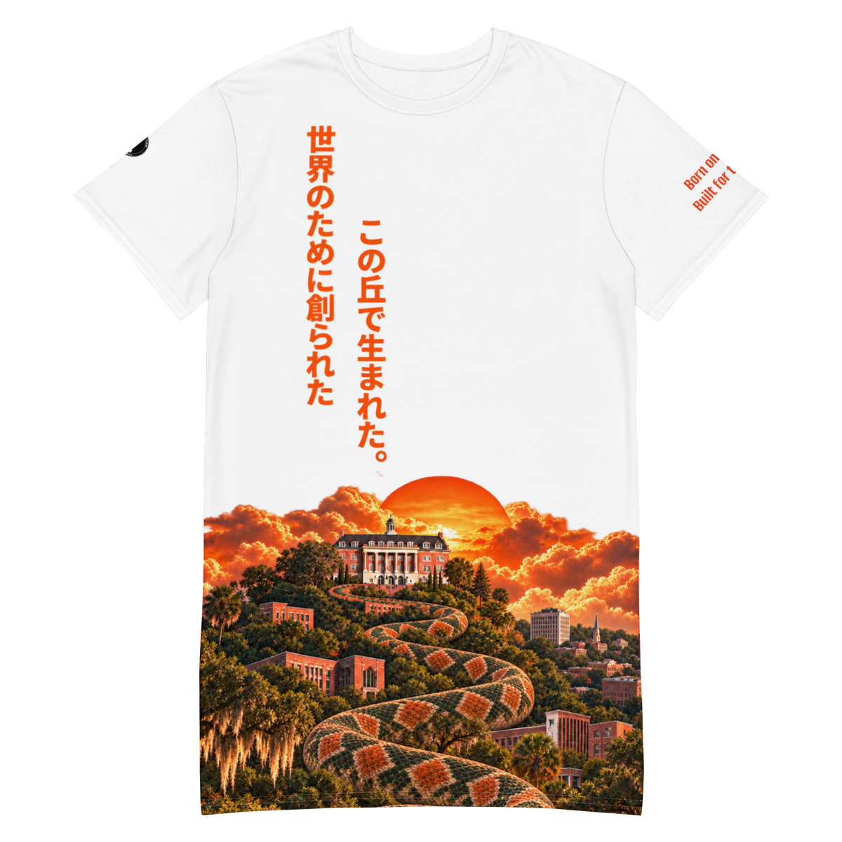 Romaji — Born on the Hill. Made for the World. Oversized T-Shirt Dress